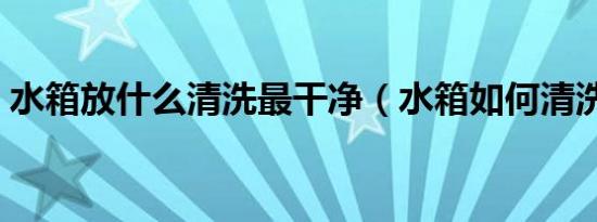 水箱放什么清洗最干净（水箱如何清洗干净）