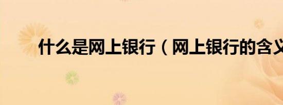 什么是网上银行（网上银行的含义）