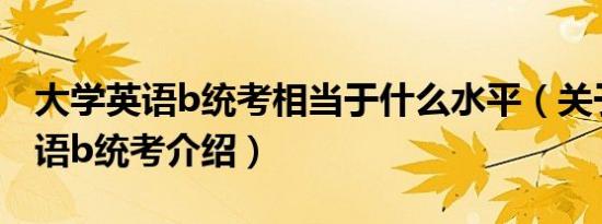 大学英语b统考相当于什么水平（关于大学英语b统考介绍）