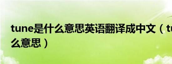 tune是什么意思英语翻译成中文（tune是什么意思）