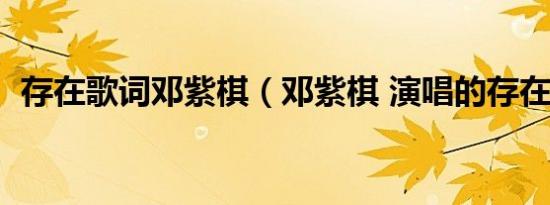 存在歌词邓紫棋（邓紫棋 演唱的存在歌词）