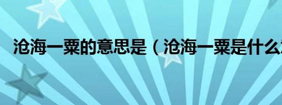 沧海一粟的意思是（沧海一粟是什么意思）