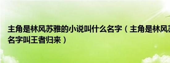主角是林风苏雅的小说叫什么名字（主角是林风苏雅的小说名字叫王者归来）