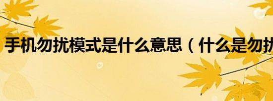 手机勿扰模式是什么意思（什么是勿扰模式）