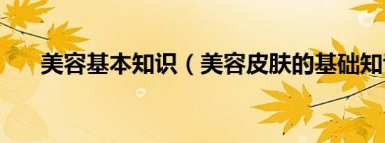 美容基本知识（美容皮肤的基础知识）