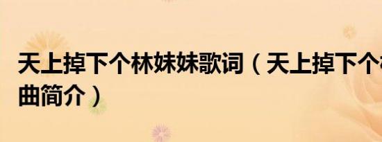 天上掉下个林妹妹歌词（天上掉下个林妹妹歌曲简介）