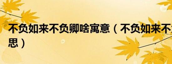 不负如来不负卿啥寓意（不负如来不负卿的意思）