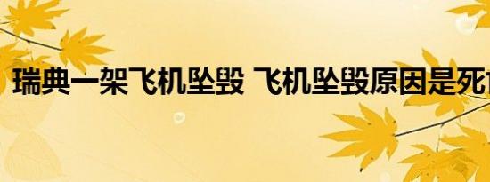 瑞典一架飞机坠毁 飞机坠毁原因是死亡几人