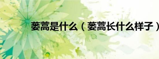 蒌蒿是什么（蒌蒿长什么样子）