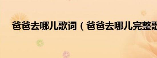 爸爸去哪儿歌词（爸爸去哪儿完整歌词）
