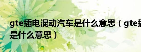 gte插电混动汽车是什么意思（gte插电混动是什么意思）