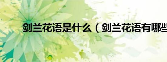 剑兰花语是什么（剑兰花语有哪些）
