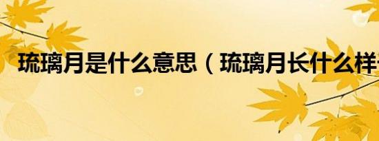琉璃月是什么意思（琉璃月长什么样子呢）