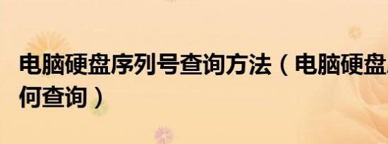 电脑硬盘序列号查询方法（电脑硬盘序列号如何查询）