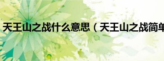 天王山之战什么意思（天王山之战简单介绍）