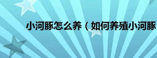 小河豚怎么养（如何养殖小河豚）