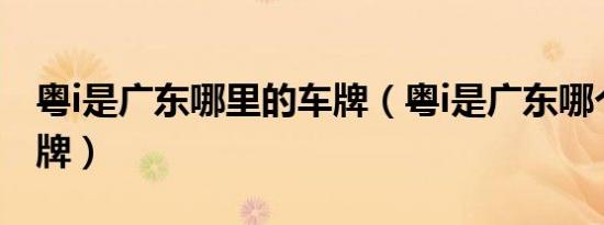 粤i是广东哪里的车牌（粤i是广东哪个市的车牌）
