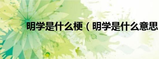 明学是什么梗（明学是什么意思）