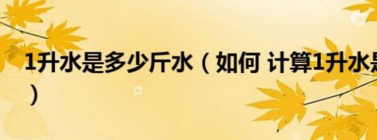 1升水是多少斤水（如何 计算1升水是多少斤）