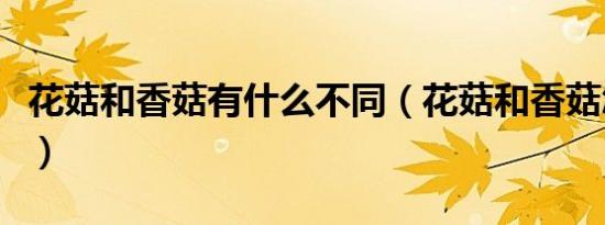 花菇和香菇有什么不同（花菇和香菇怎么区分）