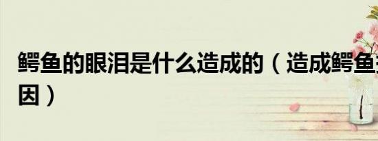 鳄鱼的眼泪是什么造成的（造成鳄鱼掉泪的原因）