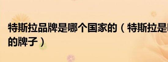 特斯拉品牌是哪个国家的（特斯拉是哪个国家的牌子）