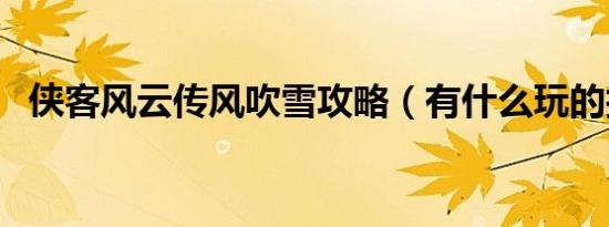 侠客风云传风吹雪攻略（有什么玩的技巧）