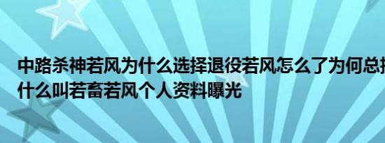 中路杀神若风为什么选择退役若风怎么了为何总招黑若风为什么叫若畜若风个人资料曝光