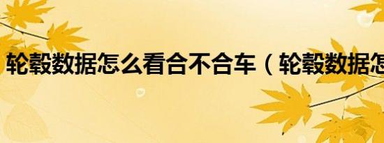 轮毂数据怎么看合不合车（轮毂数据怎么看）