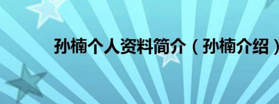 孙楠个人资料简介（孙楠介绍）