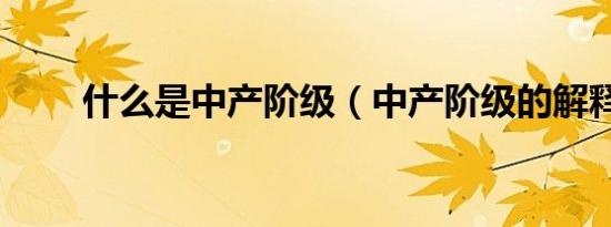 什么是中产阶级（中产阶级的解释）