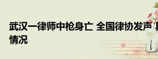 武汉一律师中枪身亡 全国律协发声 具体是啥情况