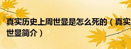 真实历史上周世显是怎么死的（真实历史上周世显简介）