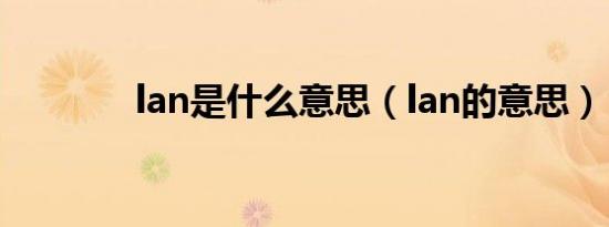lan是什么意思（lan的意思）