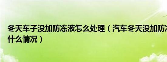 冬天车子没加防冻液怎么处理（汽车冬天没加防冻液会出现什么情况）