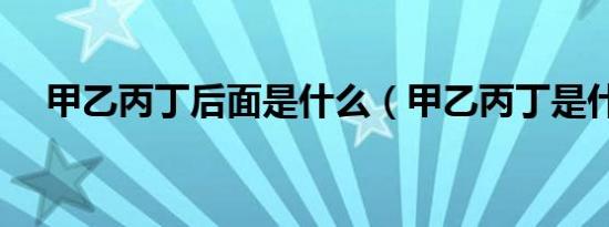 甲乙丙丁后面是什么（甲乙丙丁是什么）