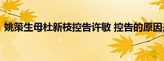 姚策生母杜新枝控告许敏 控告的原因是什么