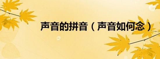声音的拼音（声音如何念）
