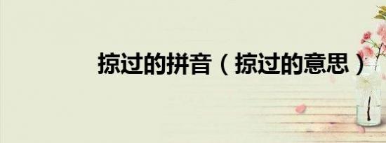 掠过的拼音（掠过的意思）