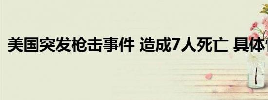 美国突发枪击事件 造成7人死亡 具体情况是