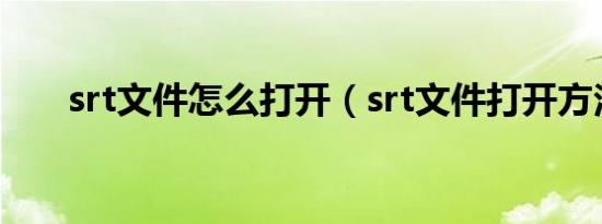 srt文件怎么打开（srt文件打开方法）