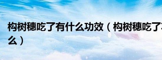 构树穗吃了有什么功效（构树穗吃了功效有什么）