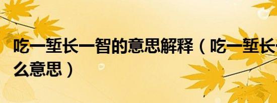 吃一堑长一智的意思解释（吃一堑长一智是什么意思）