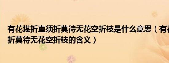有花堪折直须折莫待无花空折枝是什么意思（有花堪折直须折莫待无花空折枝的含义）