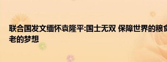 联合国发文缅怀袁隆平:国士无双 保障世界的粮食安全是袁老的梦想
