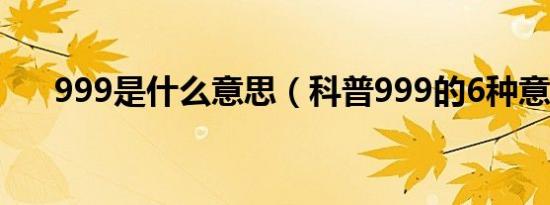 999是什么意思（科普999的6种意思）