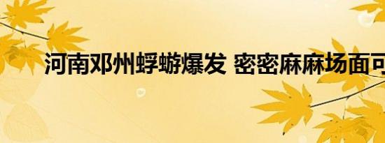 河南邓州蜉蝣爆发 密密麻麻场面可怖