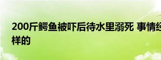 200斤鳄鱼被吓后待水里溺死 事情经过是怎样的