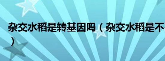 杂交水稻是转基因吗（杂交水稻是不是转基因）