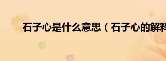石子心是什么意思（石子心的解释）